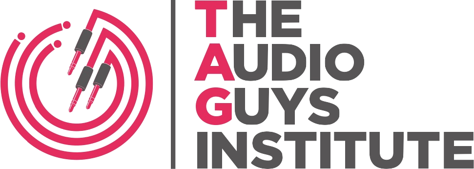 The Audio Guys Institute